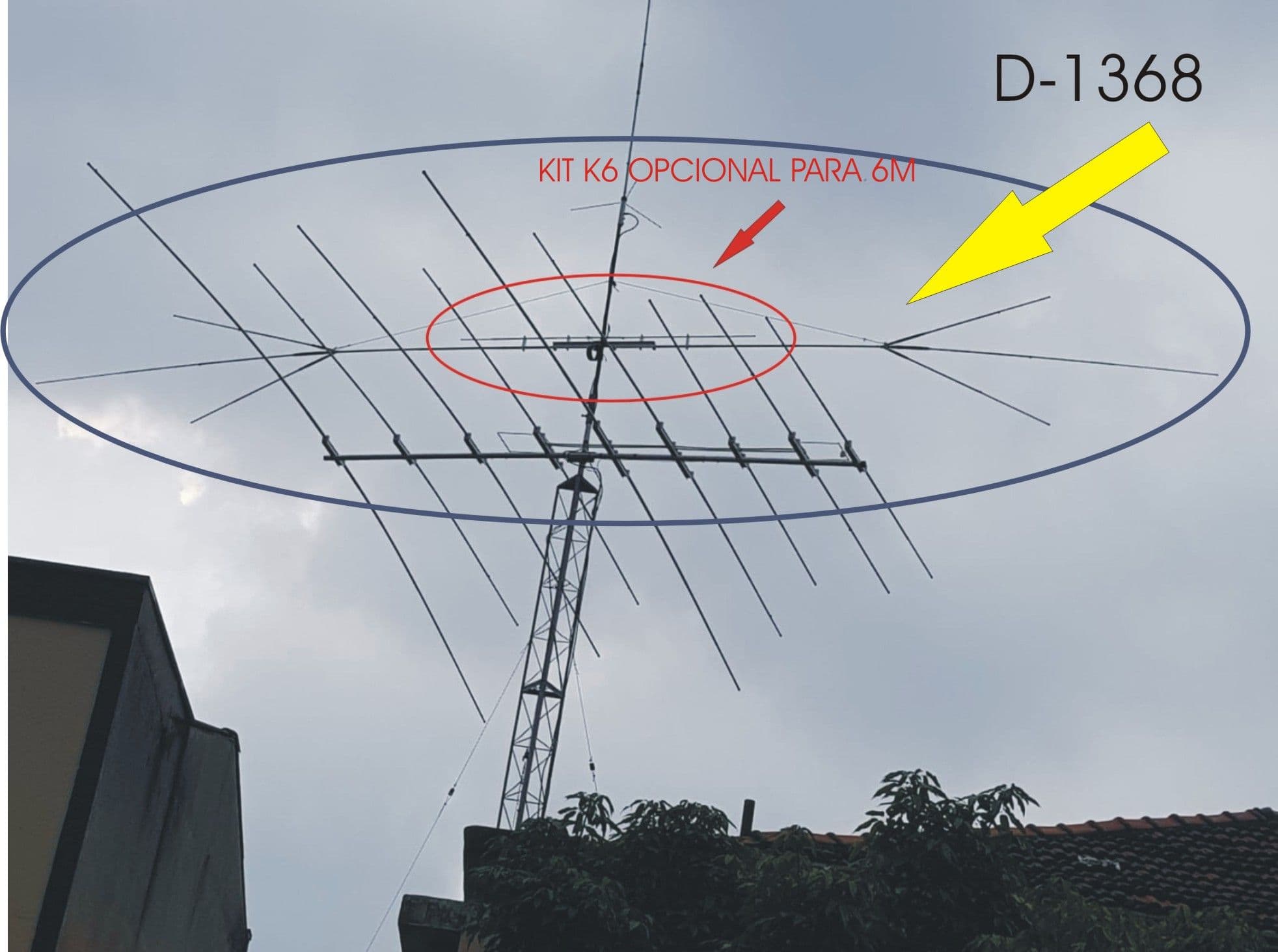D1368.JPG